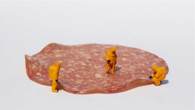 调味师:创造加工食品味道的发明家